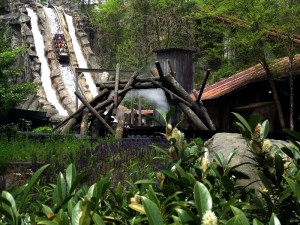 Guests "Take the Plunge" Over Daredevil Falls
